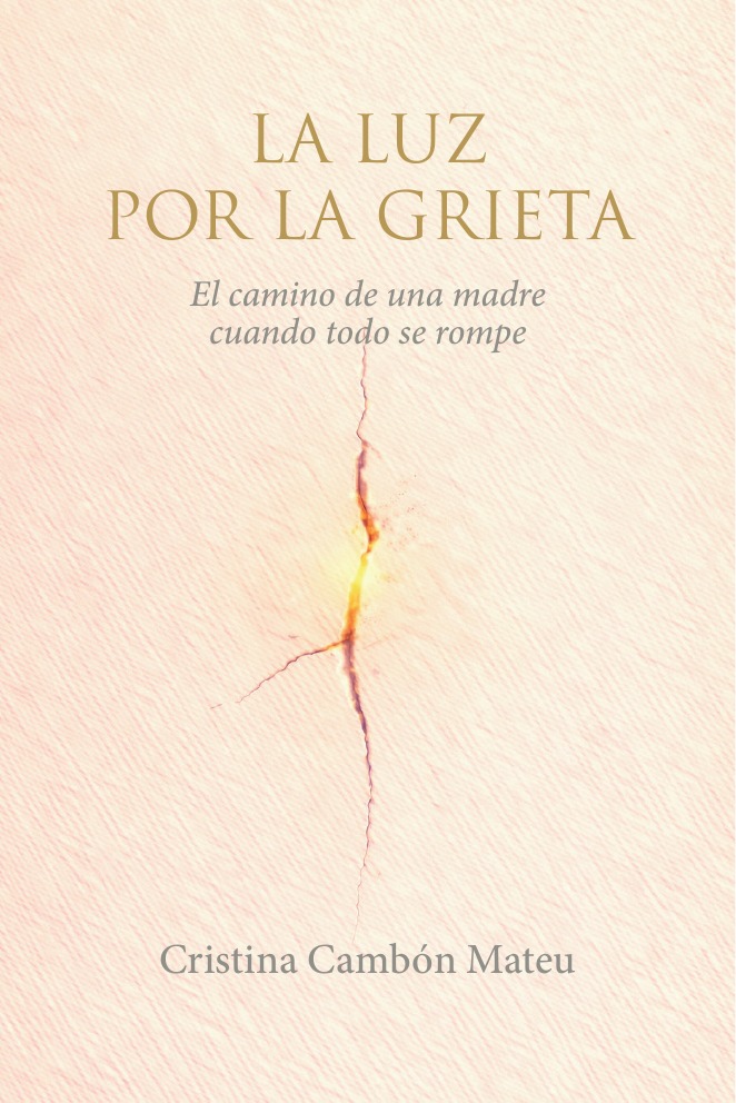 Portada de La luz por la grieta